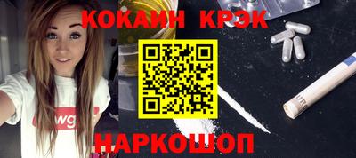 гашик Кингисепп