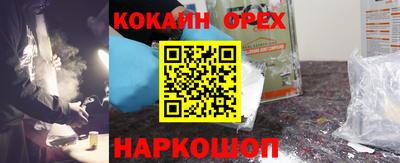 гашик Кингисепп