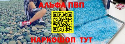 гашик Кингисепп