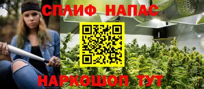 гашик Кингисепп