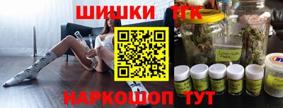 гашик Кингисепп