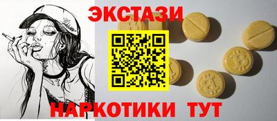гашик Кингисепп