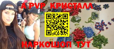 гашик Кингисепп