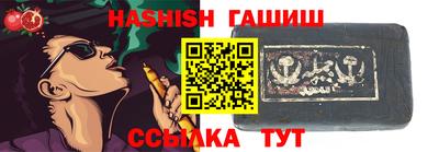 гашик Кингисепп