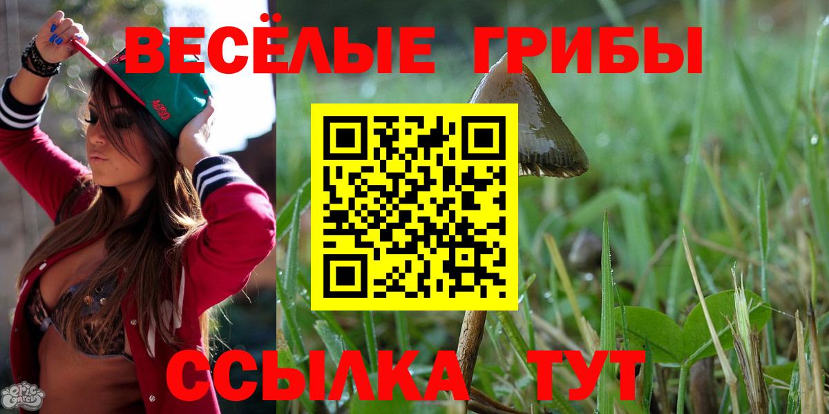 Галлюциногенные грибы Magic Shrooms Костомукша